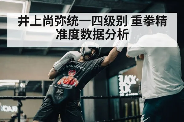 井上尚弥统一四级别 重拳精准度数据分析