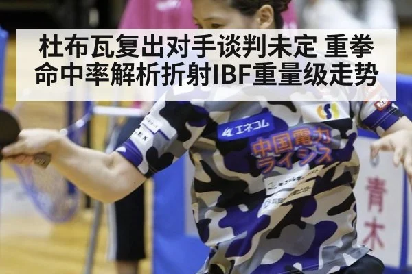 杜布瓦复出对手谈判未定 重拳命中率解析折射IBF重量级走势